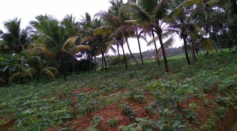 Nadathara_1