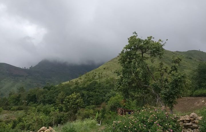 vilpatti-6