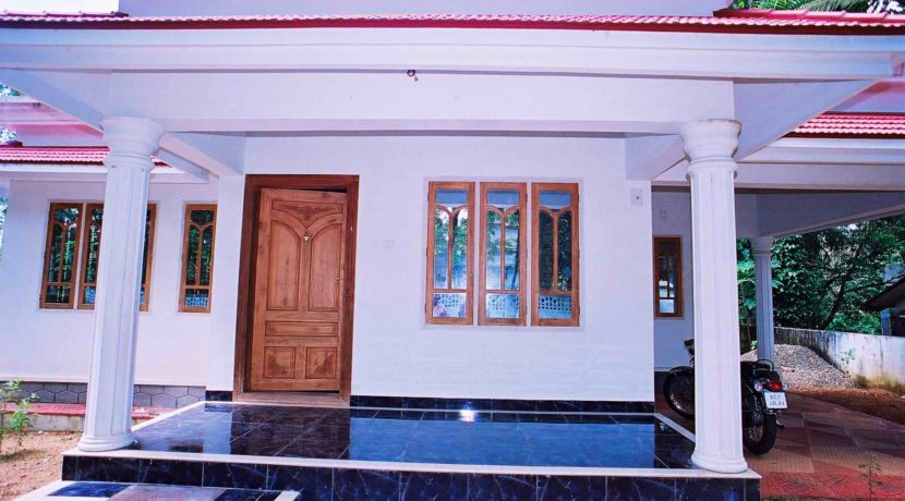 209D4E06-543A-453B-8912-BBFFEFD98B3B