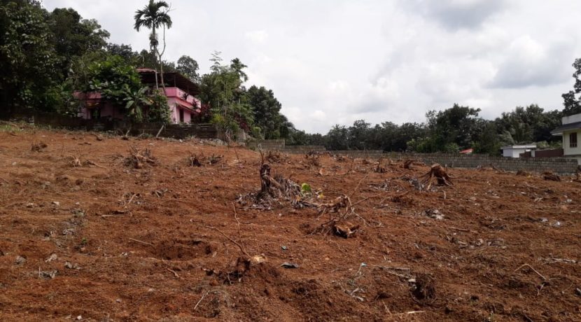 IMG-20191016-WA0017 (1)