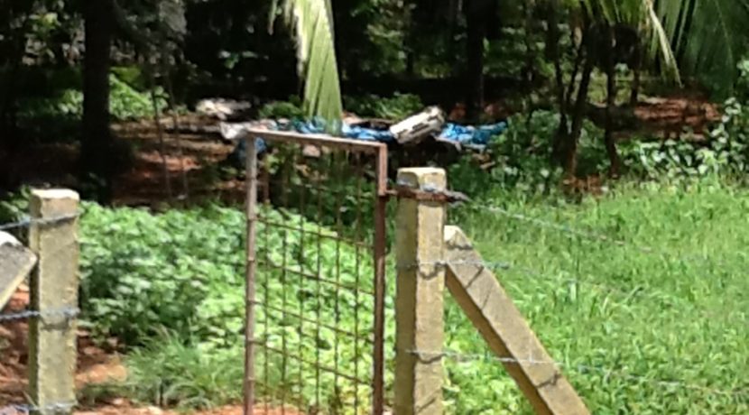 EDAPPAL Property