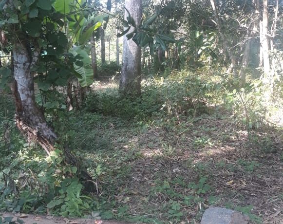 IMG-20191216-WA0004
