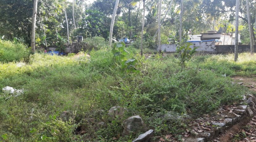 WhatsApp Image 2019-12-15 at 3.25.05 PM