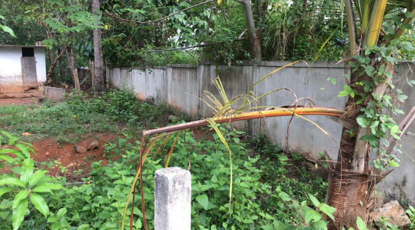 75B6D9FD-BB7A-4881-BEA4-3A7F24E321A8