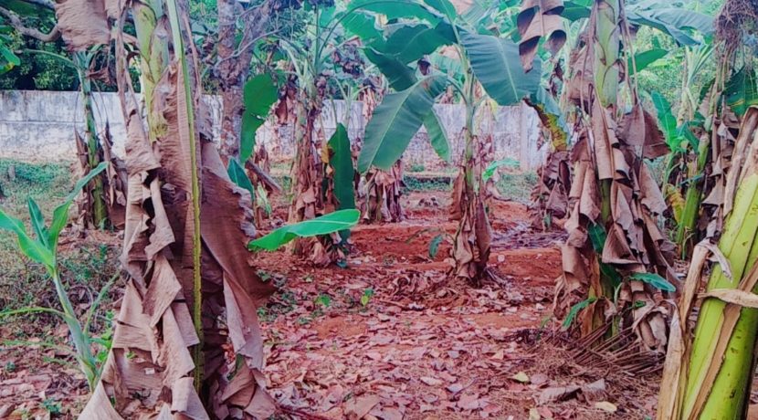 16527F2D-AC31-4374-A97A-960CFC98AB1F