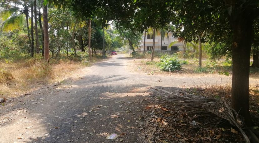 5bf2b5ba-ceb7-45da-bc05-318326d4ed21