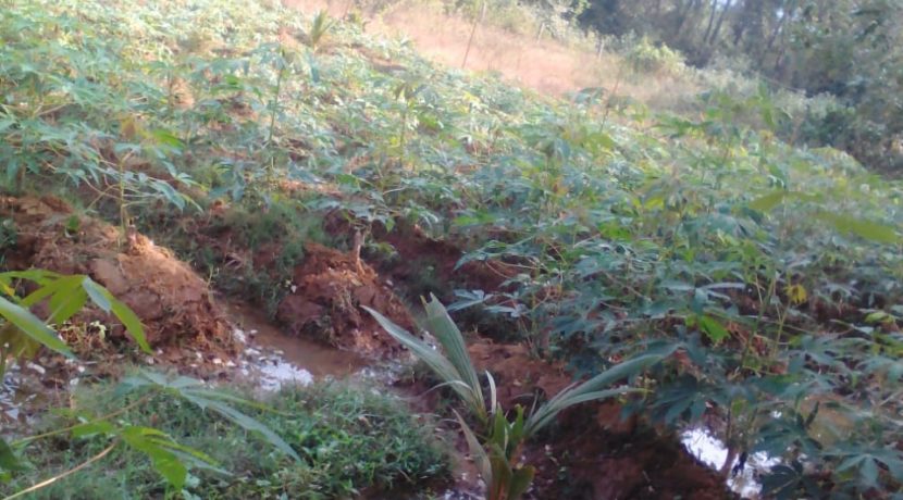 Palaghat Land Image 2