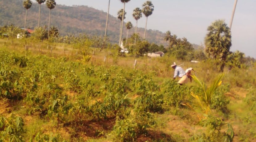 Palaghat Land Image 3