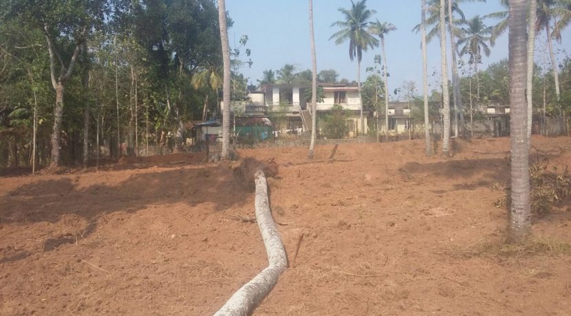 EA9871F7-FE24-42AD-98EF-4C03D9730D06