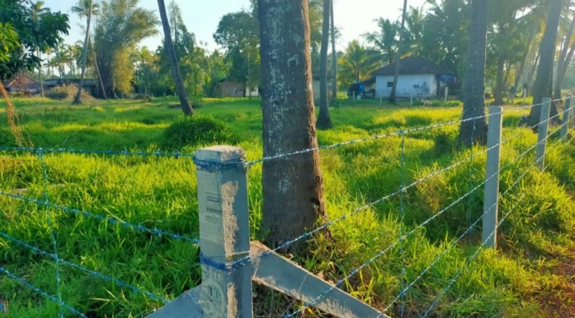 IMG_20200619_225334[1]