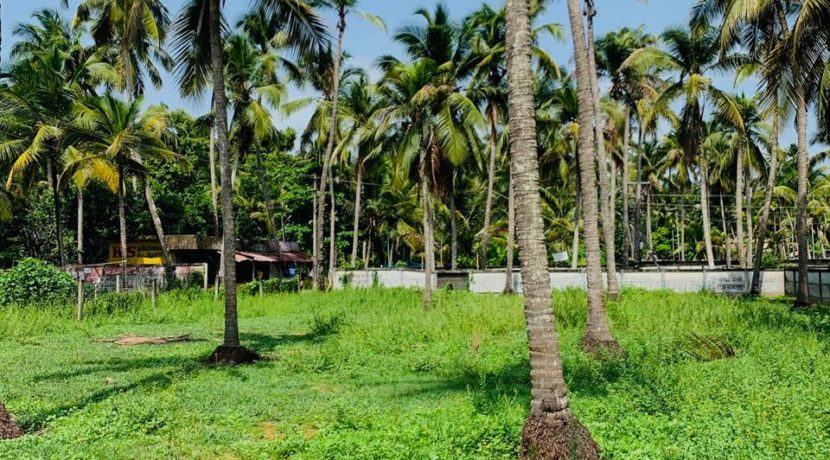 WhatsApp Image 2020-05-30 at 8.55.15 PM (1)