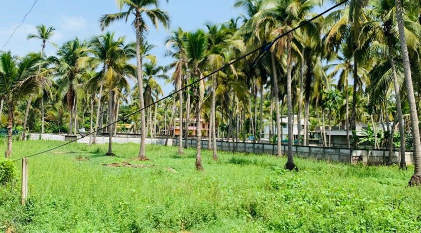 WhatsApp Image 2020-05-30 at 8.55.15 PM