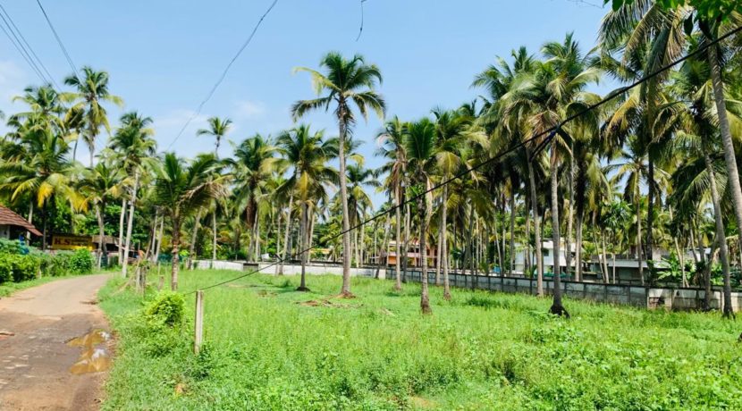 WhatsApp Image 2020-05-30 at 8.55.17 PM (1)