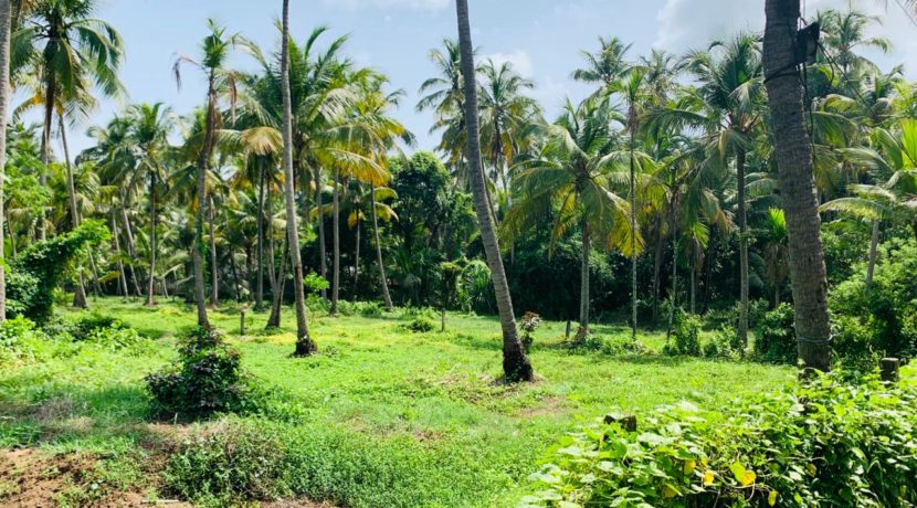 WhatsApp Image 2020-05-30 at 8.55.18 PM (1)