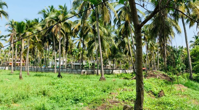 WhatsApp Image 2020-05-30 at 8.55.19 PM