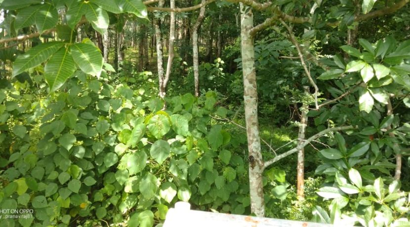 01de984e-a471-42c0-bfa7-e95452e36341