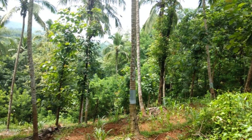 5e822104-a623-4642-af73-18bd9d1a3fdb 2