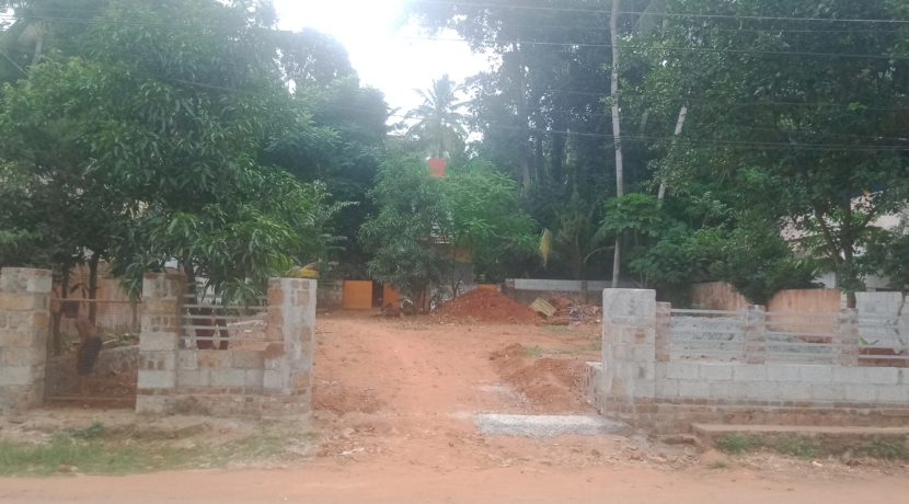 IMG20200721175640