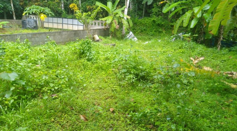 ed7f0842-9bb1-4c1c-984c-12ba1e41023a