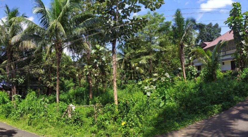 WhatsApp Image 2020-09-27 at 2.59.16 PM (1)