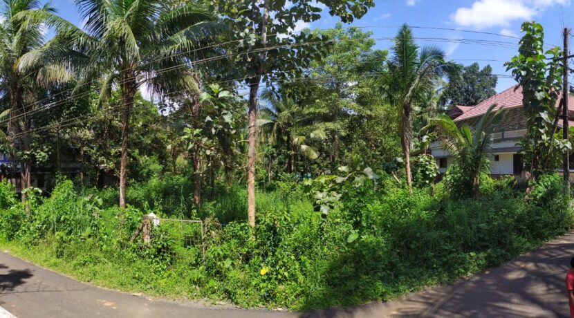 WhatsApp Image 2020-09-27 at 2.59.18 PM (1)