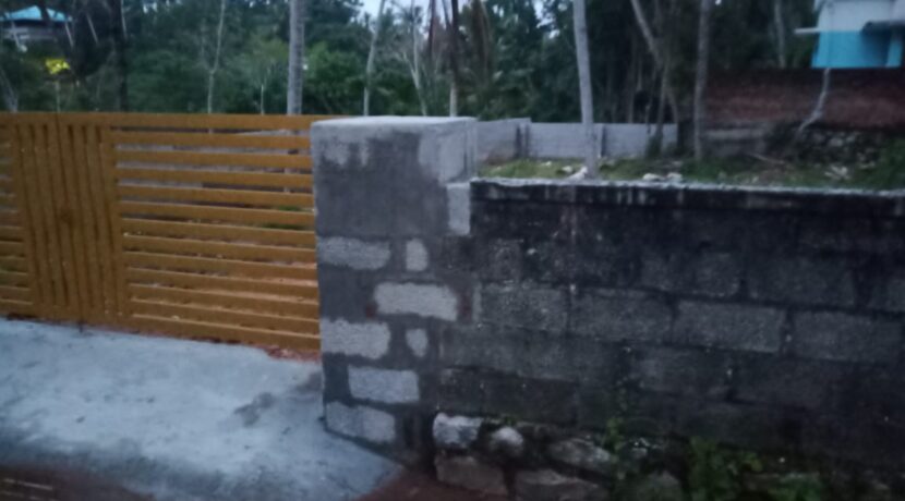 Pong plot