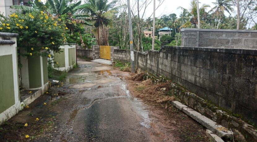 Pong plot road
