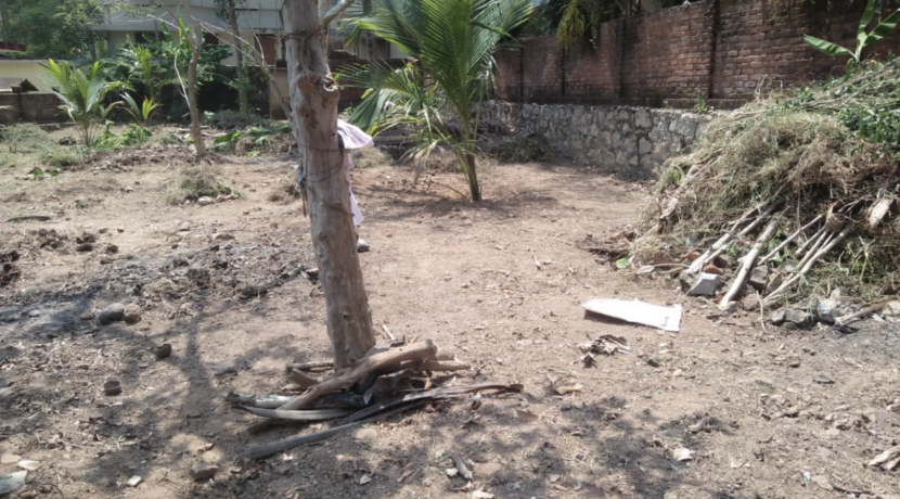 80499486-62C0-481B-9F2D-E620D88781FF