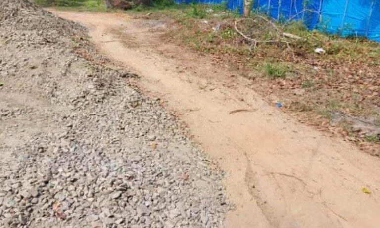 WhatsApp Image 2021-02-08 at 12.53.59 PM (1)