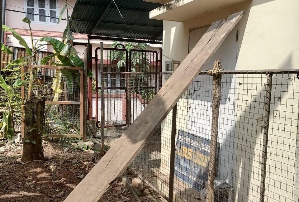 Plot 2