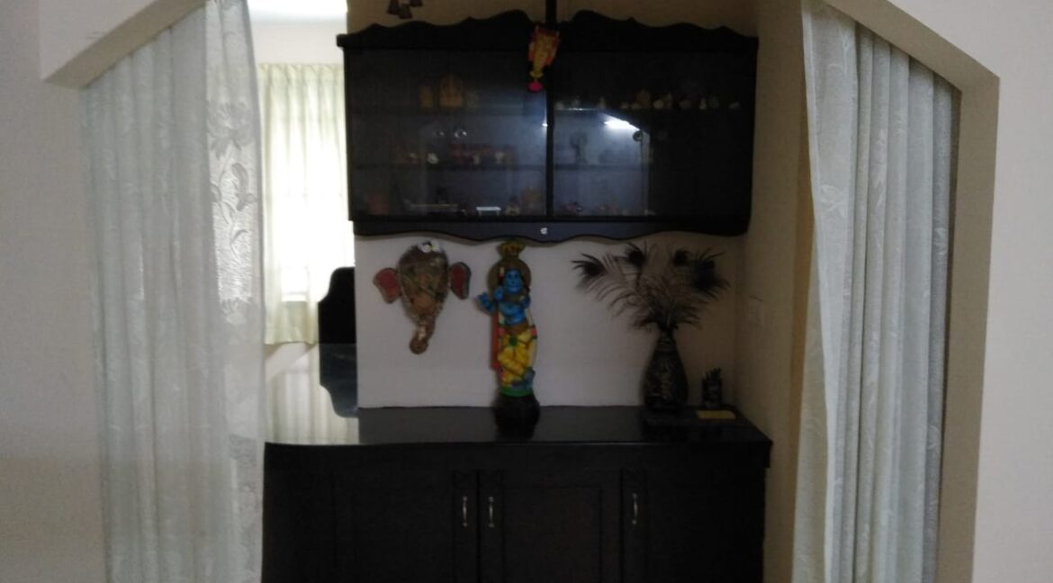 Showcase