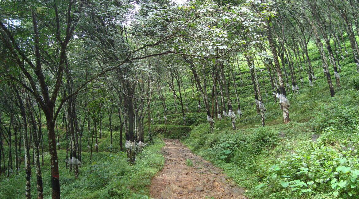 DSC03243