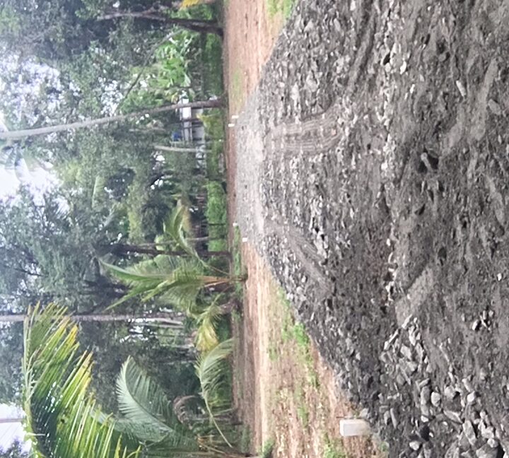 7DA82EB8-1FF9-4D6A-AB39-88644CEE53AD